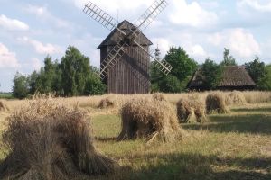 Żniwa w skansenie