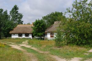 Fragment wsi typu owalnica, chałupy z poł. XIX w.