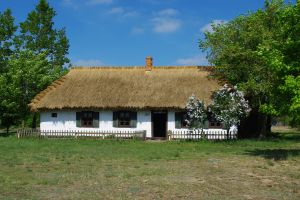 Chałupa, poł. XIX w.