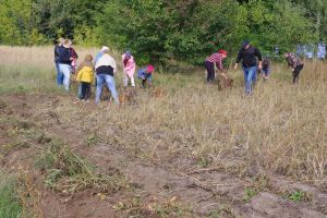 Pożegnanie lata w Skansenie w Maurzycach, galeria zdjęć