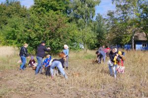 Pożegnanie lata w Skansenie w Maurzycach, galeria zdjęć