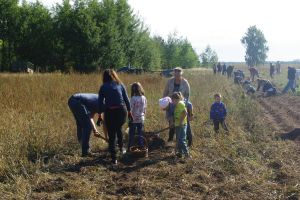Pożegnanie lata w Skansenie w Maurzycach, galeria zdjęć