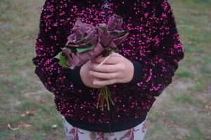 Pożegnanie lata w Skansenie w Maurzycach, galeria zdjęć