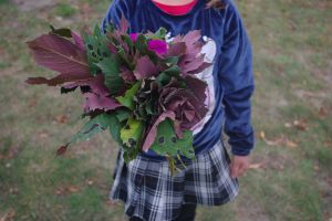 Pożegnanie lata w Skansenie w Maurzycach, galeria zdjęć